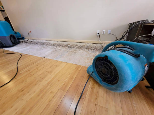Professional Structural Drying technician working in Forbes, MN